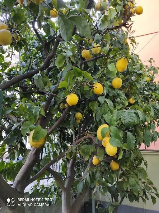 Popi Al Mare In Villa Con Giardino E Wifi Sestri Levante 0*,